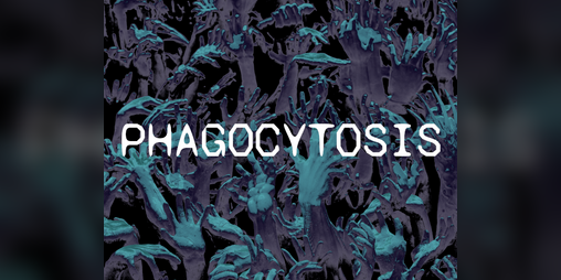 Cover image for Phagocytosis