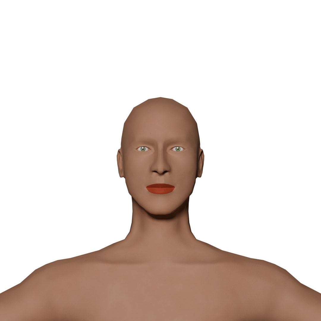 New human model