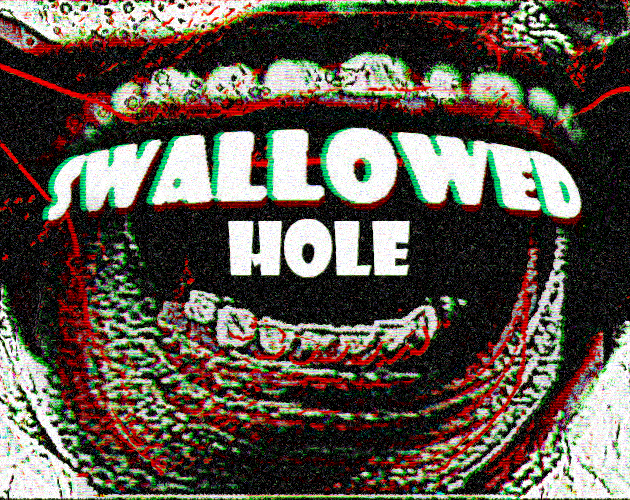 Cover image for Swallowed Hole