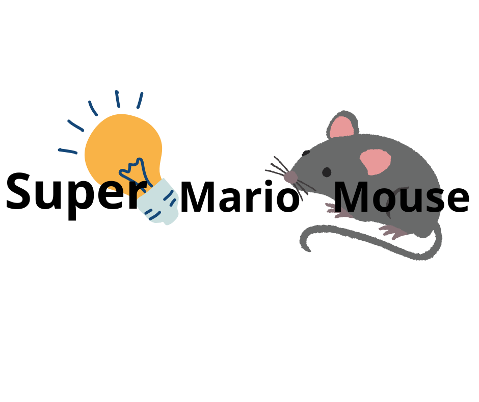 Mario Mouse