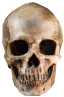 Dead Man Walking