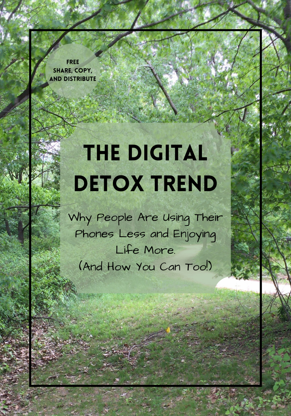 Cover image for The Digital Detox Trend