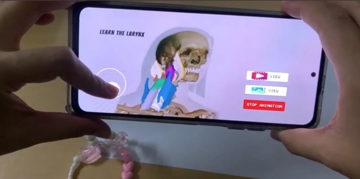 AR THE LARYNX