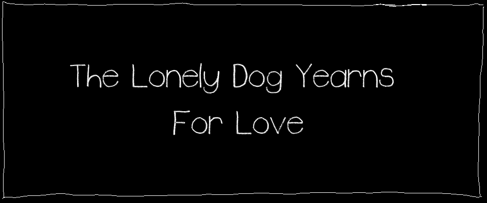 The Lonely Dog Yearns For Love