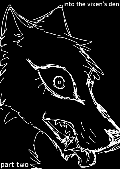 Cover image for Into the vixens den fixation