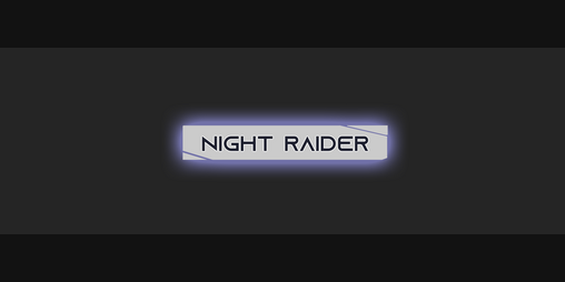 Cover image for NIGHT RAIDER