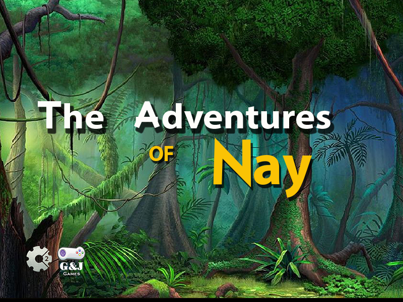Cover image for The Adventure of Nay