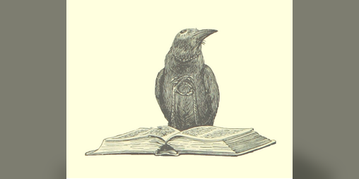 Cover image for Wicked and Kicking