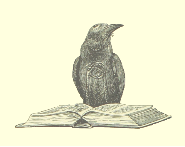 Cover image for Ta podła jędza