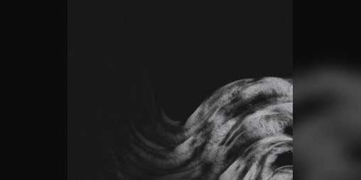 Cover image for The Inevitable Decay