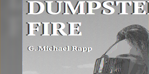 Cover image for Dumpster Fire