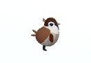 Bird Blast