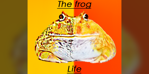 Cover image for The frog life