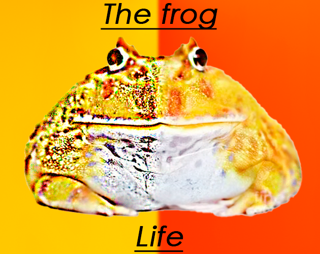 Cover image for The frog life