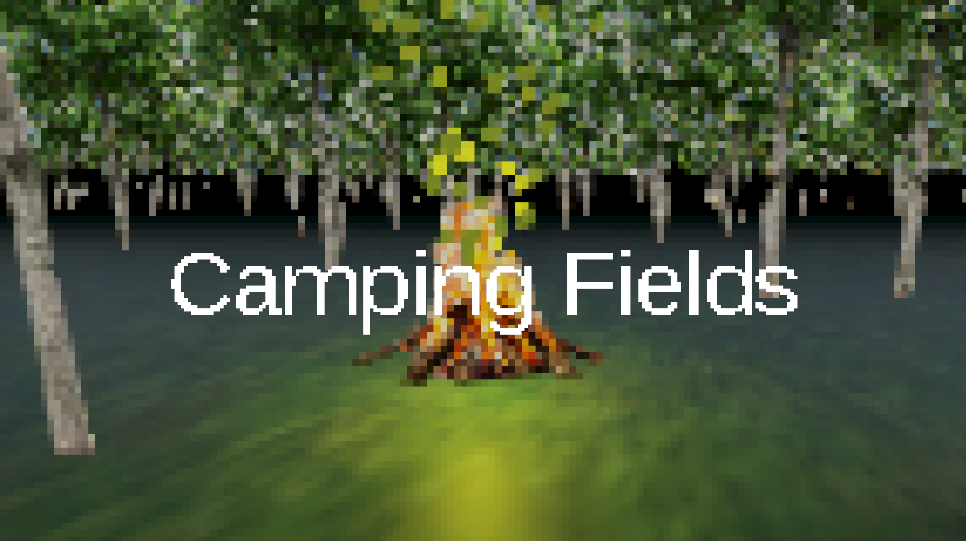 Cover image for Camping Fields
