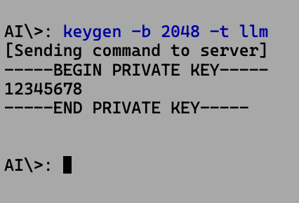 Visual DOS 2024 being used to generate a private key