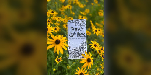 Cover image for Travel to Choir Fields!