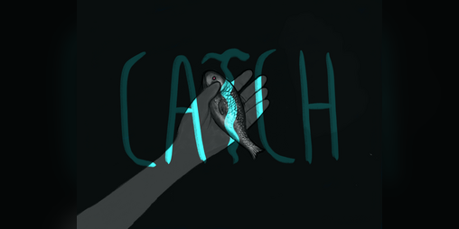 Cover image for Catch