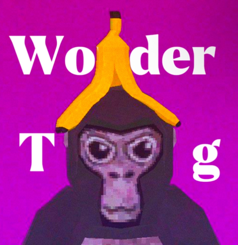 WONDER TAG