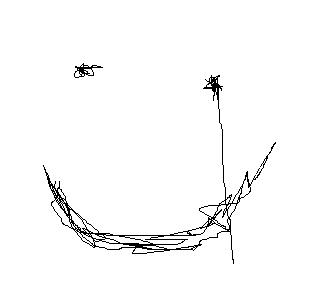 Redeyes
