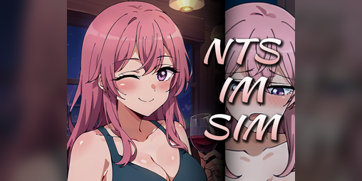 Cover image for NTS-IM-SIM
