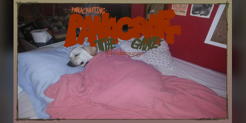 Cover image for PanaCraft HS