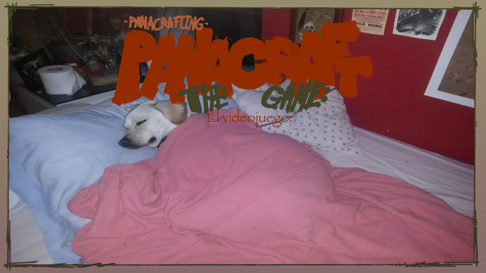 Cover image for PanaCraft HS