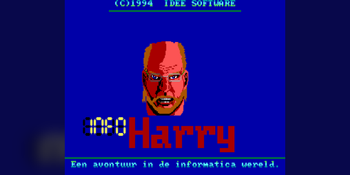 Cover image for Info Harry (1994)
