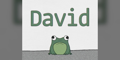 Cover image for David