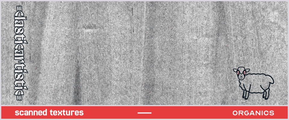 Scanned Textures – Organics