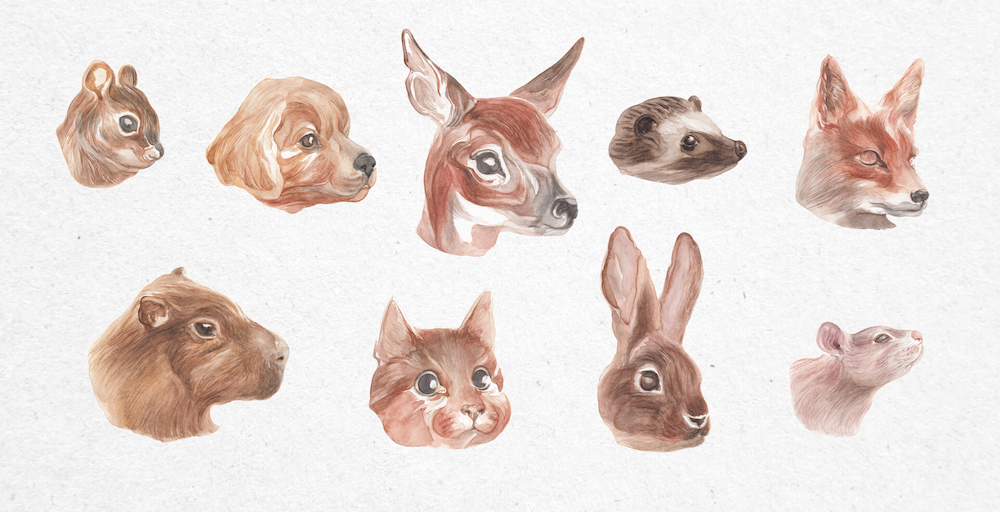 Watercolor Animals
