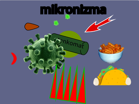 Cover image for MIKRONIZMA