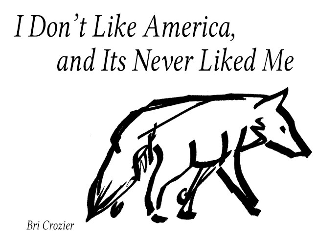 Cover image for I Don't Like America & Its Never Liked Me
