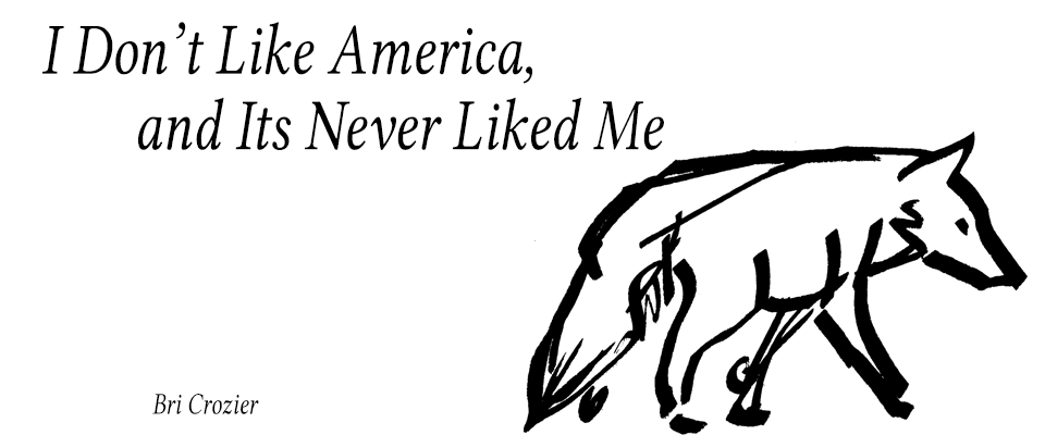 I Don't Like America & Its Never Liked Me
