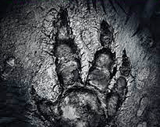 Evolve: Empire Ascendant