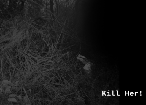 Cover image for Kill Her! Demo