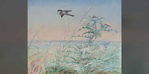 Cover image for BirdSong & March