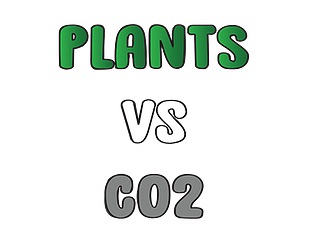 Plants vs CO2