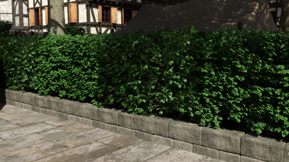 The Market The Market