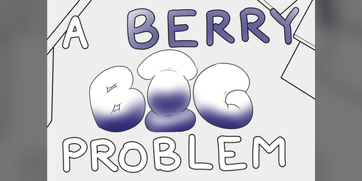 Cover image for A Berry Big Problem