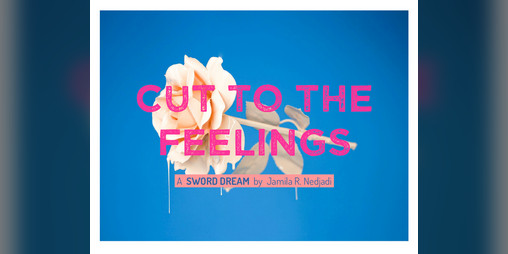 Cover image for Cut to the Feelings