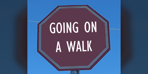 Cover image for Going on a Walk