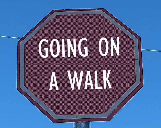 Cover image for Going on a Walk