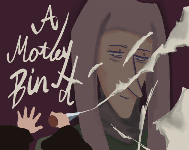 Cover image for A Motley Bind