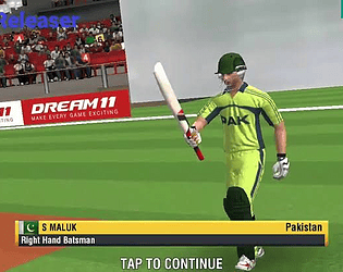Cricket 2019