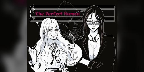 Cover image for The Perfect Human