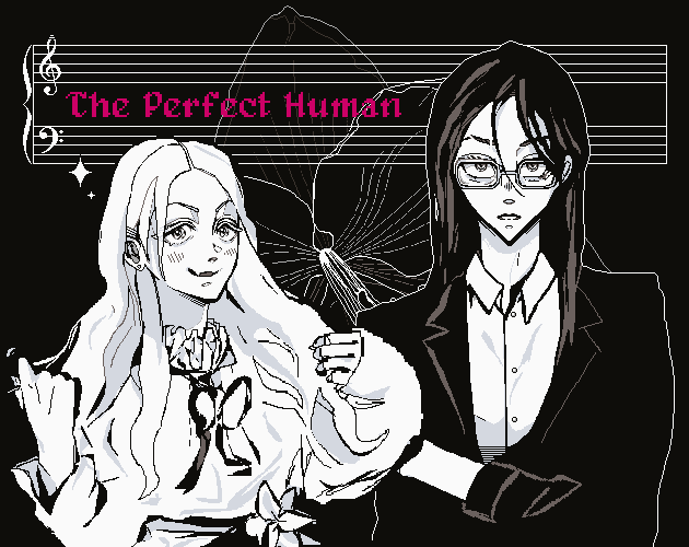 Cover image for The Perfect Human