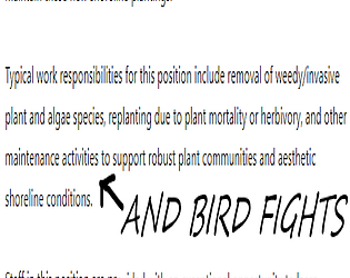 BIRD FIGHT SIMULATOR 2009