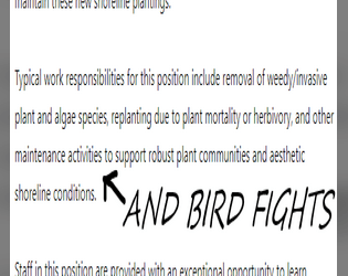 BIRD FIGHT SIMULATOR 2009   - The struggle between human and goose 
