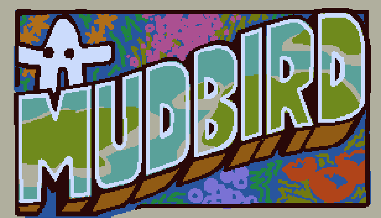 Cover image for MUDBIRD